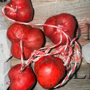 Christmas Ornaments Persimmons set of 5